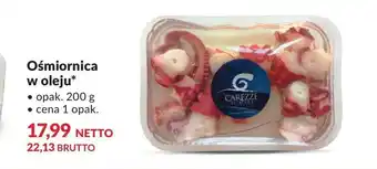 Makro Ośmiornica carezze oferta