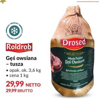 Makro Gęś roldrob oferta