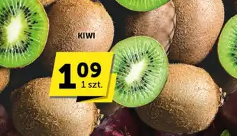 Euro Sklep Kiwi oferta