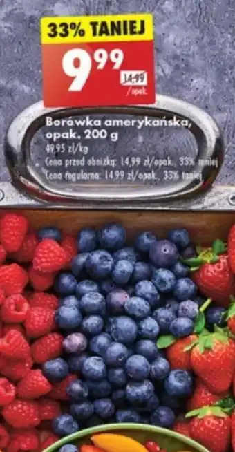 Biedronka Borówka amerykańska, opak. 200 g oferta