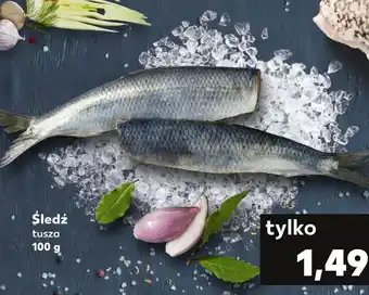 Kaufland Śledź oferta