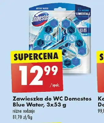 Biedronka Zawieszka do WC Domestos Blue Water, 3x53 g oferta