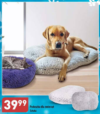 ALDI Poduszka dla zwierząt oferta