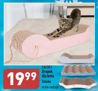 ALDI CACHET Drapak dla kota oferta