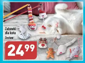 ALDI Zabawki dla kota oferta