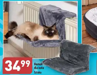 ALDI Hamak dla kota oferta