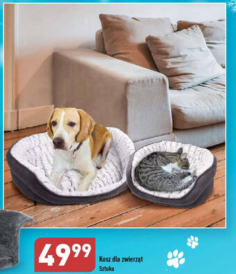 ALDI Kosz dla zwierząt oferta