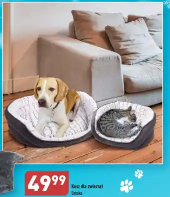 ALDI Kosz dla zwierząt oferta