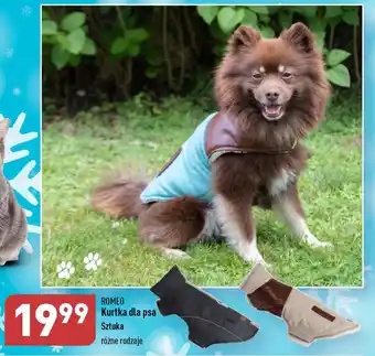 ALDI ROMEO Kurtka dla psa oferta