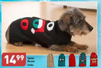 ALDI Sweter dla psa oferta