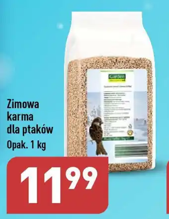 ALDI Zimowa karma dla ptaków 1 kg oferta
