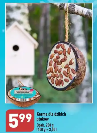 ALDI Karma dla dzikich ptaków 200 g oferta