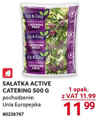 Selgros SAŁATKA ACTIVE CATERING 500 G oferta