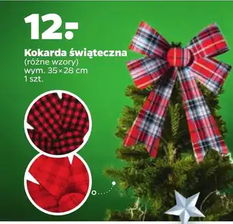 Netto Kokarda oferta