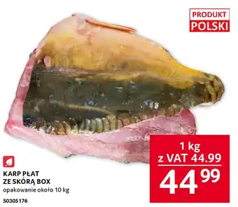 Selgros KARP PŁAT ZE SKÓRĄ BOX opakowanie około 10 kg oferta