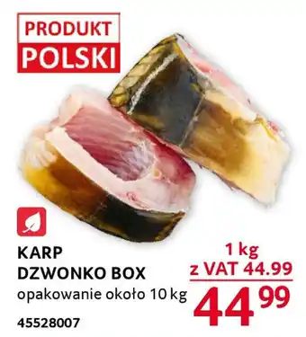 Selgros KARP DZWONKO BOX opakowanie około 10 kg oferta