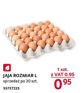 Selgros JAJA ROZMIAR L 30 szt. oferta