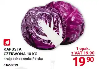 Selgros KAPUSTA CZERWONA 10 KG oferta
