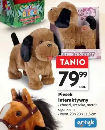 Intermarche Piesek interaktywny oferta