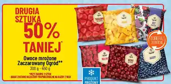 Polomarket Owoce mrożone Zaczarowany Ogród 300-450 g oferta