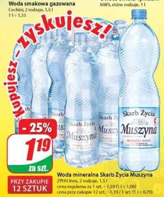 Dino Woda mineralna Skarb Życia Muszyna 1,5l oferta