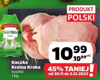 Netto Kaczka oferta
