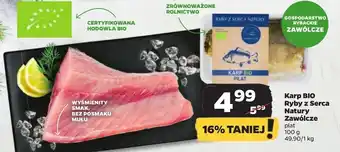 Netto Karp smak natury oferta