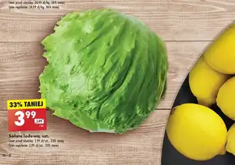 Biedronka Sałata lodowa oferta