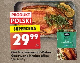 Biedronka Gęś oferta