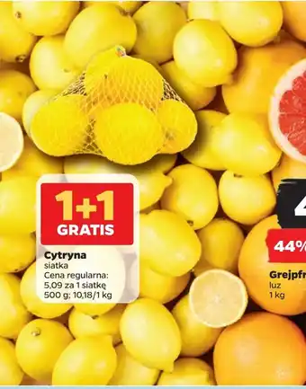 Netto Cytryna 500g oferta