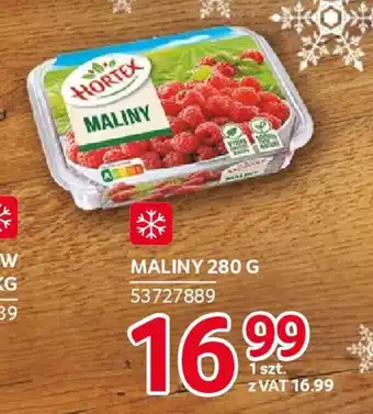 Selgros MALINY 280 G oferta
