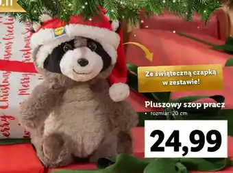 Lidl Pluszowy szop pracz oferta
