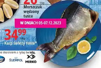 E.Leclerc Karp świeży tusza 1 kg oferta