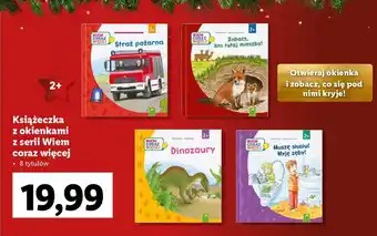 Lidl Książeczka z okienkami z serii Wiem coraz więcej oferta