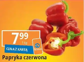 E.Leclerc Papryka czerwona 1 kg oferta