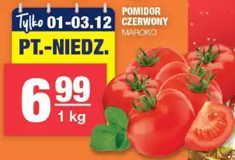 SPAR mini POMIDOR CZERWONY 1 kg oferta