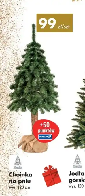 Mrówka Choinka na pniu wys. 120 cm oferta