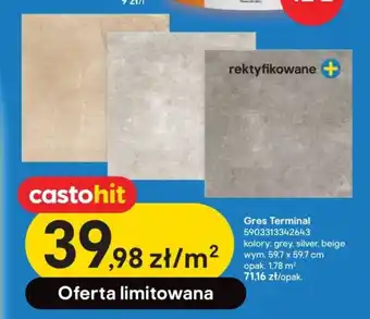 Castorama Gres Terminal wym. 59.7 x 59,7cm oferta