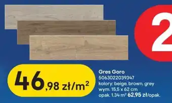 Castorama Gres Goro wym. 15,5 x 62 cm oferta