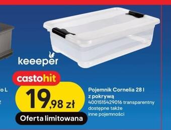 Castorama Pojemnik Cornelia 28l oferta