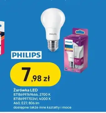 Castorama PHILIPS Żarówka LED oferta