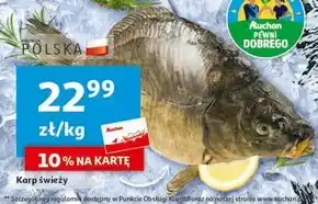 Auchan Karp oferta