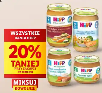 Lidl WSZYSTKIE DANIA HIPP oferta