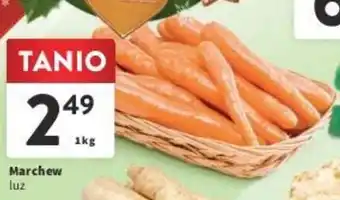 Intermarche Marchew luz 1 kg oferta