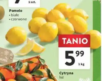 Intermarche Cytryna luz 1 kg oferta
