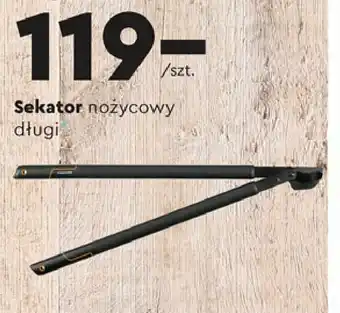 Biedronka Sekator nożycowy długi 1 SZT oferta