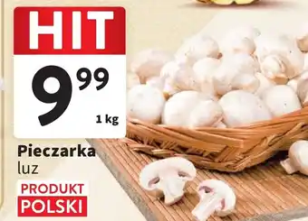 Intermarche Pieczarka 1kg oferta