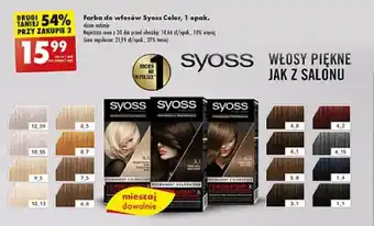 Biedronka Farba do włosów Syoss Color 1 opak oferta