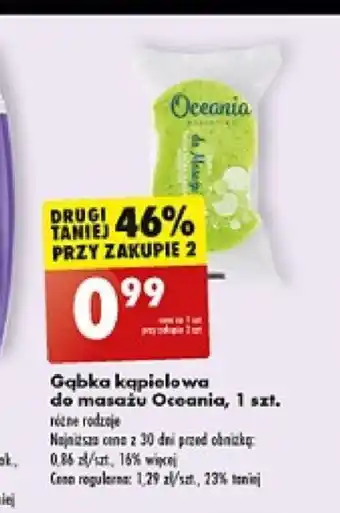 Biedronka Gąbka kąpielowa do masażu Oceania 1szt. oferta