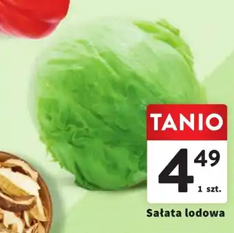 Intermarche Sałata lodowa 1szt. oferta